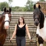 stables retail consultancy equine industry equineshow247