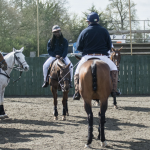 power of polo equineshow247 polo charity
